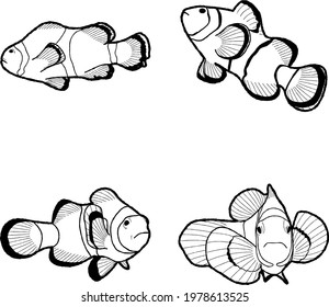 Vector de pez globo Ilustración Dibujar arte de dibujos animados
