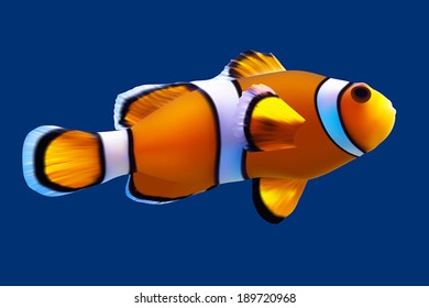 Clownfish. Vector Illustration. Isolated On Blue