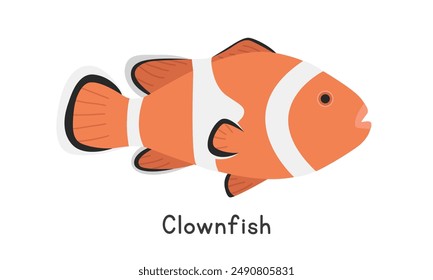 Clownfish vector illustration. Percula clownfish cartoon clipart, animal in flat style. Sea animals, underwater creatures, ocean animals, marine life concept. Clownfish vector design isolated on white