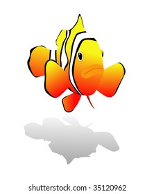 clownfish vector on white