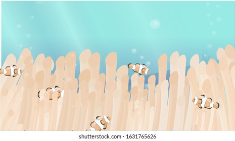 Clownfishes swimming in anemones, corals - vector