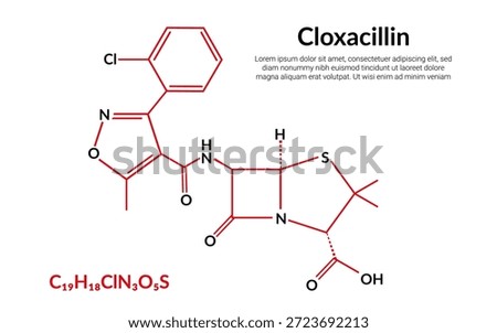 Cloxacillin, antibiotic, molecular structure formula, suitable for education or chemistry science content. Vector illustration