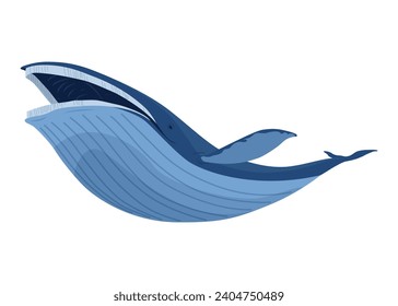 Clue whale, aquatic mammal. Awesome marine animal. Cartoon vector graphic. Isolated drawing illustration on white background