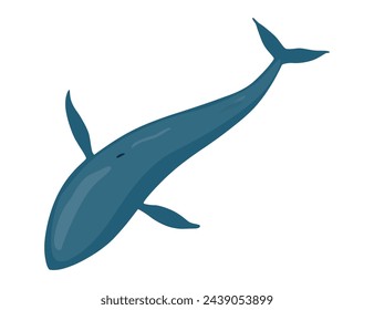 Clue whale, aquatic mammal. Awesome marine animal. Cartoon vector graphic. Isolated drawing illustration on white background