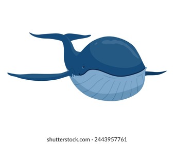 Clue whale, aquatic mammal. Awesome marine animal. Cartoon vector graphic. Isolated drawing illustration on white background