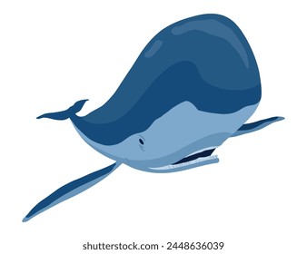 Clue whale, aquatic mammal. Awesome marine animal. Cartoon vector graphic. Isolated drawing illustration on white background