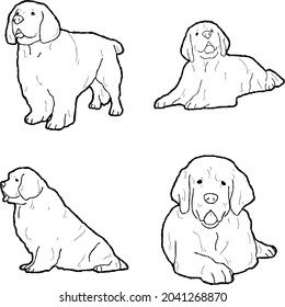 Clumber Spaniel Vector Illustration Hand Drawn Animal Cartoon Art