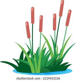 Clump of flower grass in cartoon style illustration