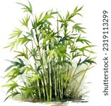 Clumping Bamboo Watercolor illustration. Hand drawn underwater element design. Artistic vector marine design element. Illustration for greeting cards, printing and other design projects.