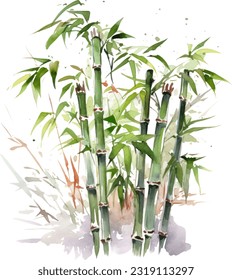 Clumping Bamboo Watercolor illustration. Hand drawn underwater element design. Artistic vector marine design element. Illustration for greeting cards, printing and other design projects.