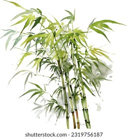 Clumping Bamboo Watercolor illustration. Hand drawn underwater element design. Artistic vector marine design element. Illustration for greeting cards, printing and other design projects.