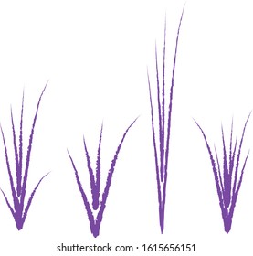 Clumps of grass. Drawn with a brush. White background.Vector illustration for your business. Cartoon style.
