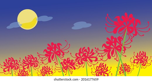 Cluster amaryllis with the background of the moonlit night. This is an autumn scenery of Equinox Flower.