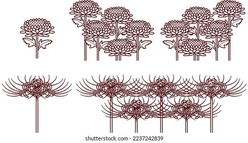 Cluster amaryllis and chrysanthemum illustration set