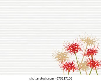 cluster amaryllis flower vector frame
