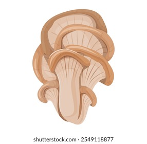 Cluster of beige oyster mushrooms. Organic food concept for design and print.