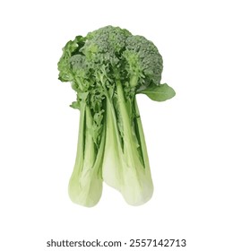 A cluster of broccoli with leafy greens, showcasing fresh vegetables.