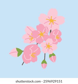 A cluster of cherry blossoms in full bloom, a beautiful representation of spring