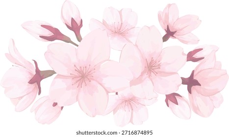 Ein Cluster von Kirschblüten Skizze