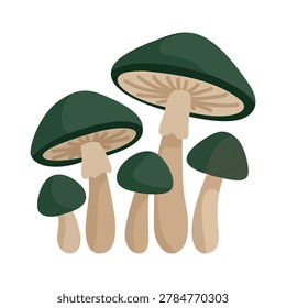 Cluster of four dark green forest mushrooms damp vegetation asset flat vector illustration
