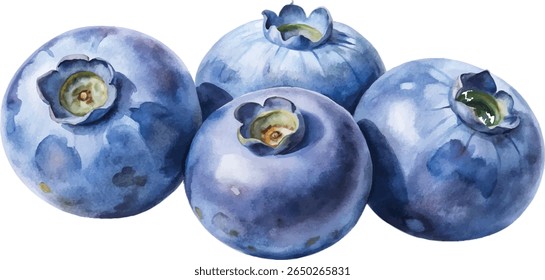 A cluster of four juicy blueberries, painted in a watercolor style, set against a clean white background.