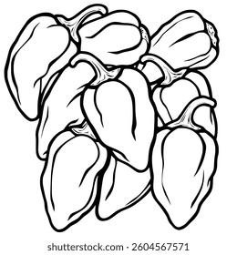 A Cluster of Fresh Bell Peppers Line Art Illustration
