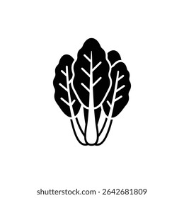 Cluster of Fresh Escarole Leaves on White Background
