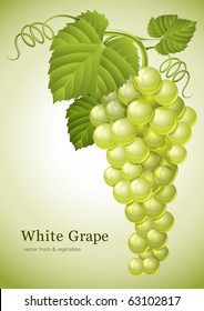 cluster of grape with green leaves vector illustration