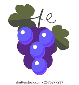 cluster of grapes color vector icon