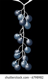 Cluster of grapes on the vine against a black background, vector illustration
