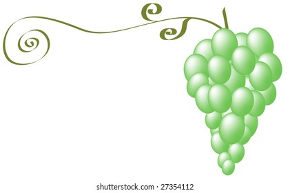 Cluster of green grapes