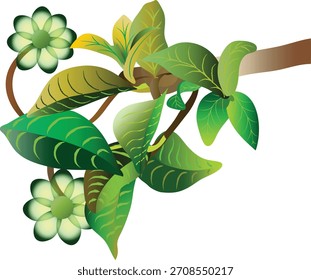 Ein Haufen grüner Rosen, die an einem Ast hängen