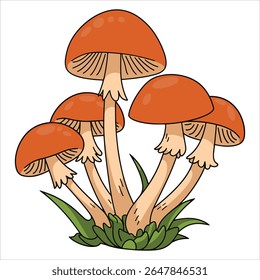 Agrupamento de mel fungo cogumelos ilustração. Ícone de comida florestal de outono ideal para guias de forragem e conceitos de cozinha da floresta.