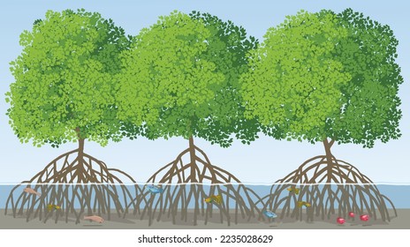 A cluster of mangrove trees and their strong roots visible in the water, vector illustration isolated