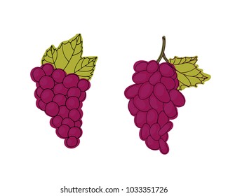 Cluster of red grapes. Berries vector illustration. Dietary food.