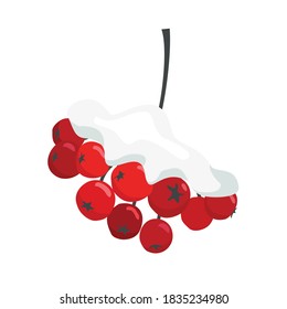Un grupo de cenizas rojas en una capa de nieve. Vector, fondo blanco, aislado.