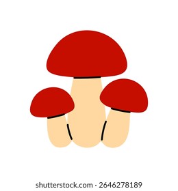 Aglomerado de cogumelos vermelhos com caules grossos e cápsulas redondas