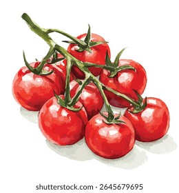 A cluster of ripe red cherry tomatoes still attached to their green vine, rendered in a watercolor style with visible brushstrokes.