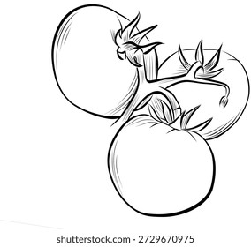Cluster reifer Tomaten auf botanischem Weinskizzenvektor