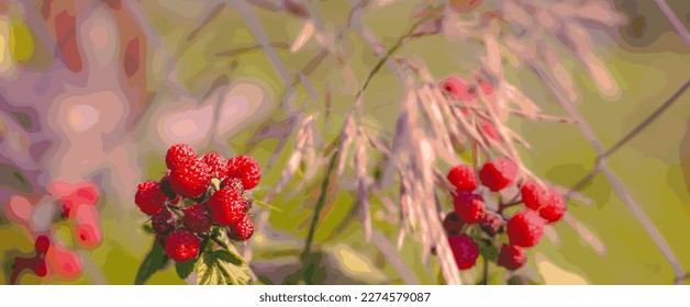 A cluster of a ripening hybrid of raspberries and blackberries at the country mesh fence in the bright sun against the backdrop of a ripe cereal weed. Vector.