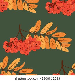 Cluster of rowan berries seamless pattern on greenbackground. Rowan branch autumn vector illustration in flat style.