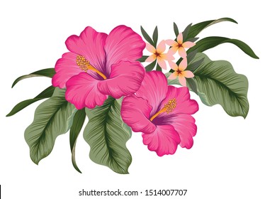 A cluster of tropical Hibiscus flowers with jungle leaves. Vector illustration.