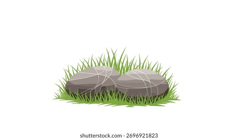 Um aglomerado de duas pedras lisas redondas aninhadas em grama verde exuberante em um fundo branco.