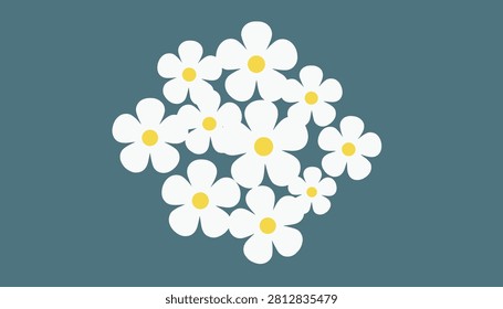 Cluster of white flowers with yellow centers arranged symmetrically on a dusty blue background.