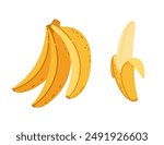 Cluster of yellow bananas with one partially peeled with soft fruit inside. Fresh ripe tropical fruits. Vector illustration isolated on white background