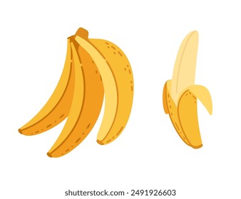 Cluster of yellow bananas with one partially peeled with soft fruit inside. Fresh ripe tropical fruits. Vector illustration isolated on white background