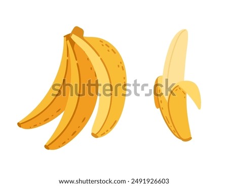 Cluster of yellow bananas with one partially peeled with soft fruit inside. Fresh ripe tropical fruits. Vector illustration isolated on white background