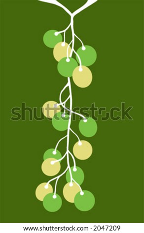 Cluster of yellow grapes on the vine against a dark green background (vector)