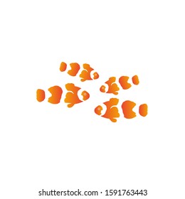 Clustered Clownfish logo design, fish logo design inspiration.