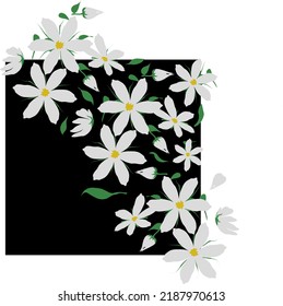 Clusters of white jasmine flowers as background elements